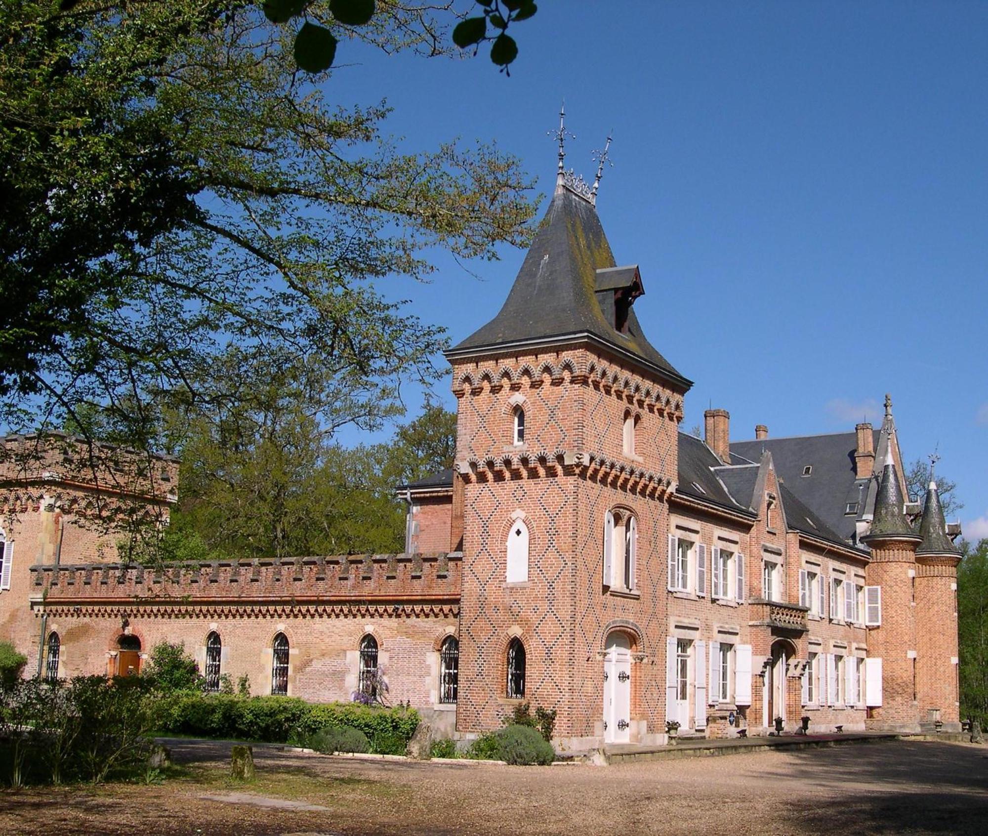 Hostellerie Du Chateau Les Muids La Ferté-Saint-Aubin Exterior foto