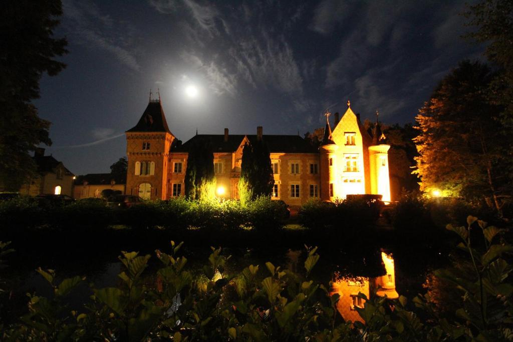 Hostellerie Du Chateau Les Muids La Ferté-Saint-Aubin Exterior foto